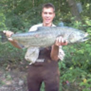 Meet your Posher, Bob